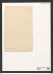 Actinoptychus boliviensis Janisch (de-Toni-Nr.: Genus 227, Species 5611) Zeichnungen Sammlung Grunow (NHMW-BOT-W0379482)